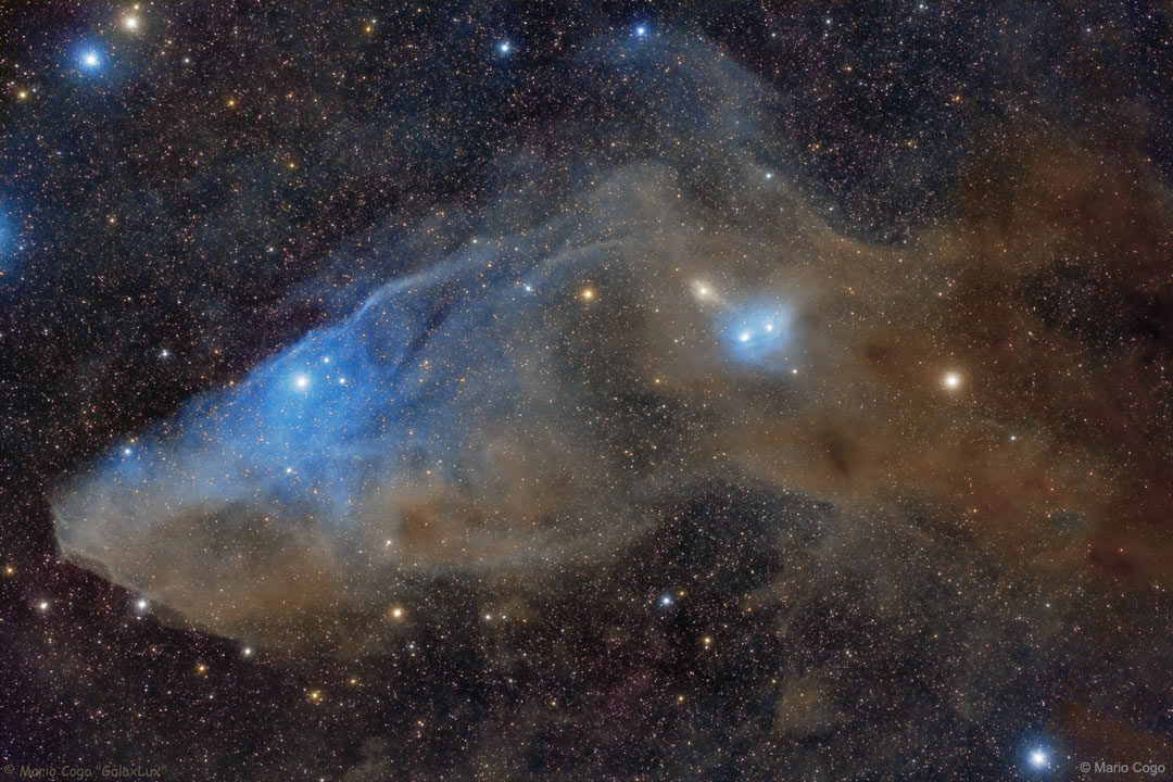 IC 4592: The Blue Horsehead Reflection Nebula
